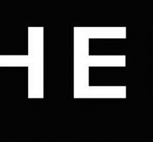 shein updated logo